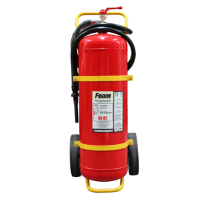 Website Image 2